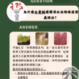 哥倫比亞 水果拼盤-水蜜桃